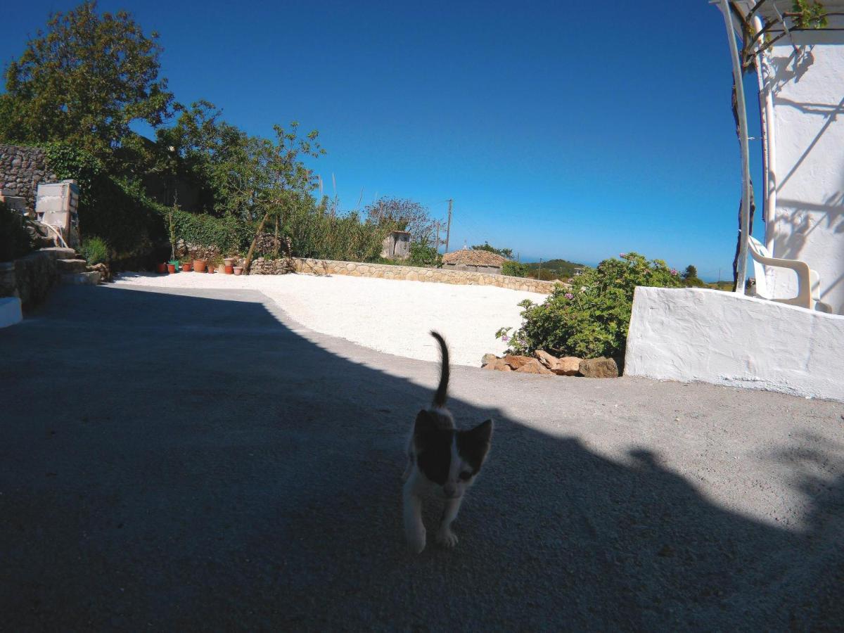 Zante Hideaway II Nearby Shipwreck Bed and Breakfast Ano Volimes Buitenkant foto